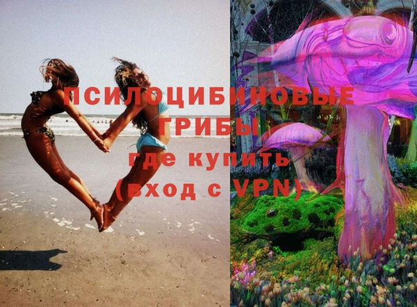 a pvp Алзамай