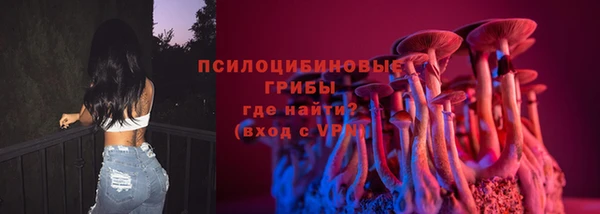 a pvp Алзамай
