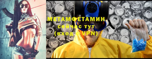 шишки Осташков
