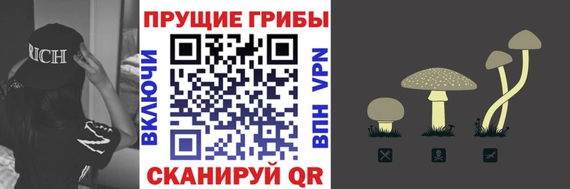 Псилоцибиновые грибы мицелий  Братск 