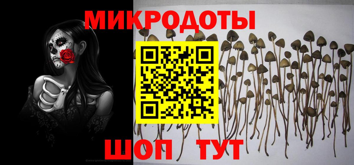 Братск  сколько стоит  Вход с VPN  Галлюциногенные грибы мицелий 